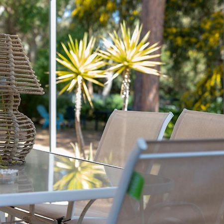 Guest House Abbacurrente Платамона Екстериор снимка